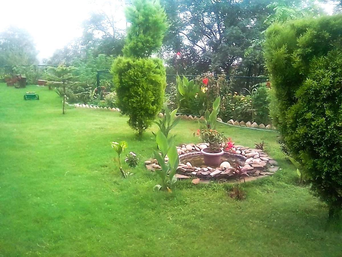 Bed and Breakfast Wildleaf Kasauli Valley Homz Exterior foto