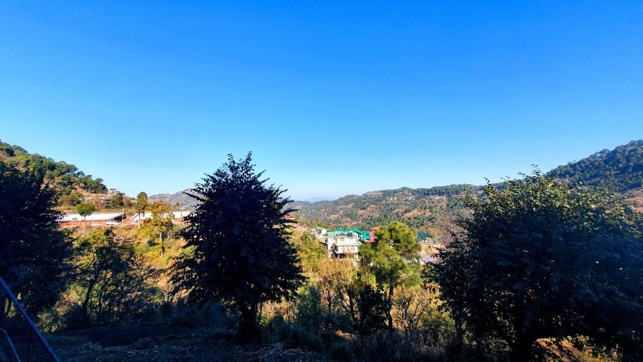 Bed and Breakfast Wildleaf Kasauli Valley Homz Exterior foto